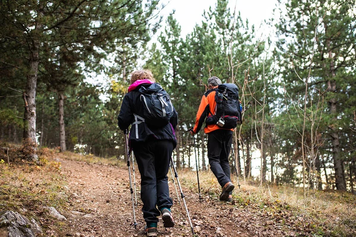 Two hikers with backpacks and trekking poles walking away from the camera on a wooded trail