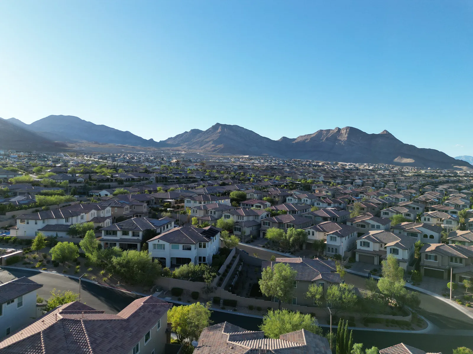 Single-family homes across a Las Vegas valley neighborhood, mountains behind them.
